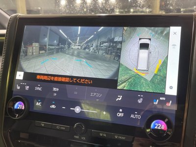 2025 Toyota ALPHARD 照片 48