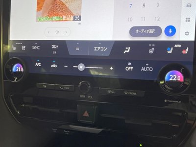 2025 Toyota ALPHARD 照片 49