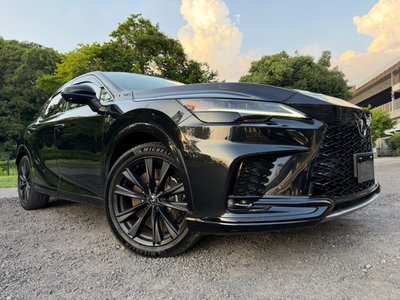 2024 Lexus RX 照片 16