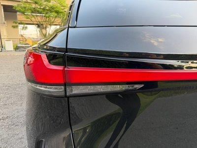 2024 Lexus RX 照片 29