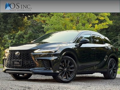 2024 Lexus RX 照片 1