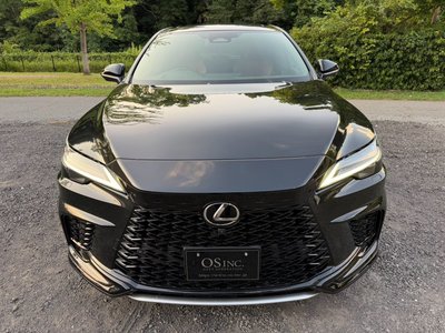2024 Lexus RX 照片 22