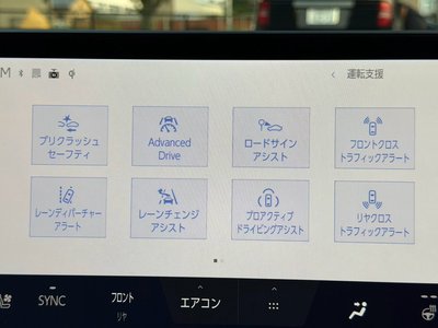 2024 Lexus RX 照片 59