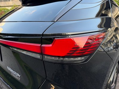 2024 Lexus RX 照片 25