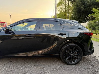 2024 Lexus RX 照片 12