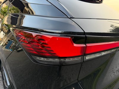2024 Lexus RX 照片 30