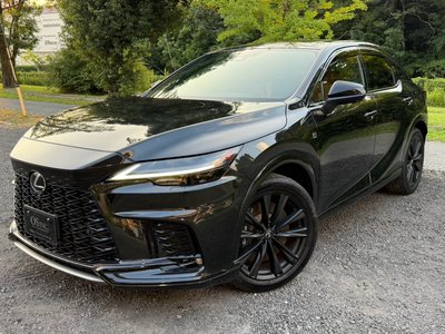 2024 Lexus RX 照片 6