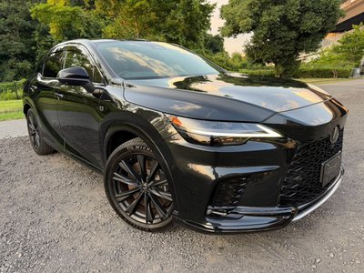 2024 Lexus RX 照片 15