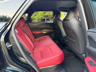 2024 Lexus RX 照片 64