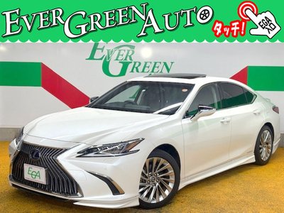 2020 Lexus ES photo 1