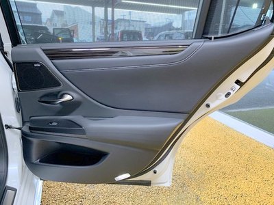 2020 Lexus ES photo 43