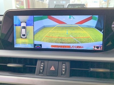 2020 Lexus ES photo 9