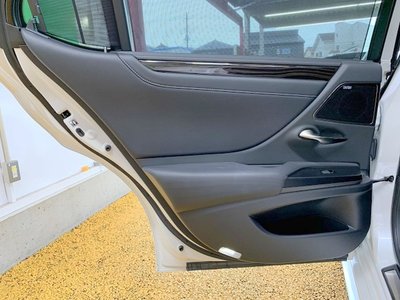 2020 Lexus ES photo 45
