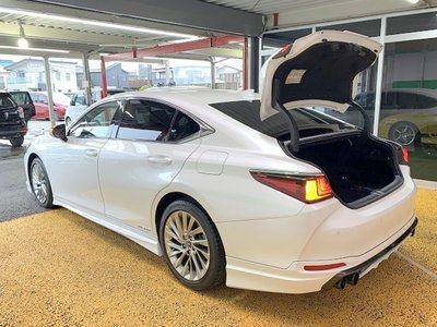 2020 Lexus ES photo 33