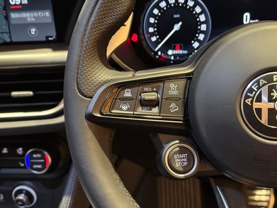 صورة 29 لـ 2025 ALFA Romeo STELVIO