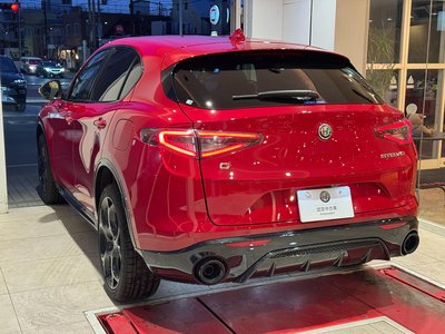 صورة 21 لـ 2025 ALFA Romeo STELVIO