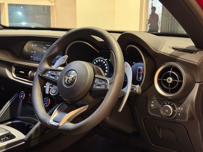 صورة 13 لـ 2025 ALFA Romeo STELVIO