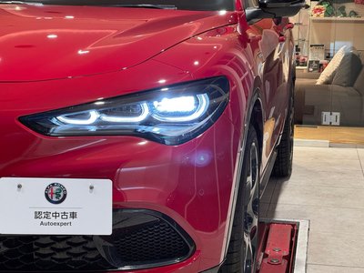 صورة 19 لـ 2025 ALFA Romeo STELVIO