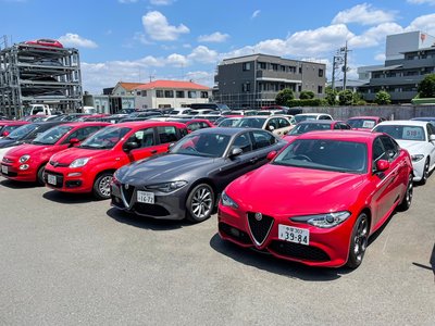 صورة 51 لـ 2025 ALFA Romeo STELVIO