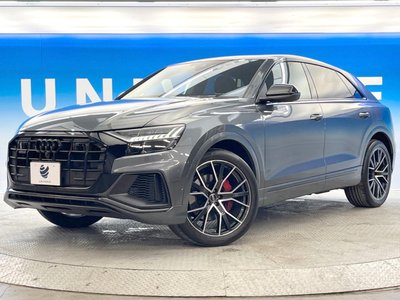 2022 AUDI Q8 thumbnail 19