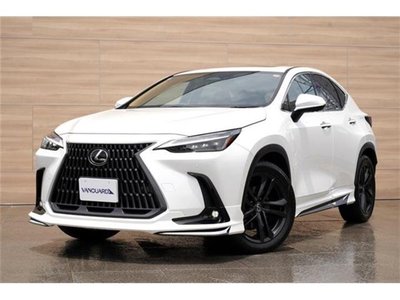 2023 Lexus NX 缩略图 132