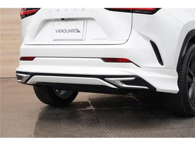 2023 Lexus NX 缩略图 10