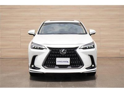 2023 Lexus NX 缩略图 12