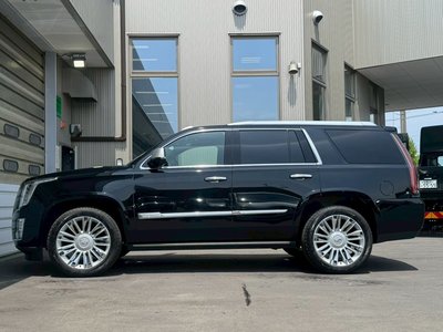 صورة مصغرة 26 لـ 2016 Cadillac ESCALADE