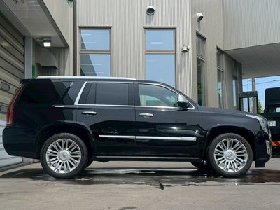 صورة مصغرة 16 لـ 2016 Cadillac ESCALADE