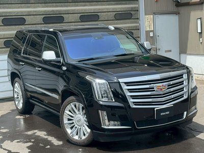 صورة مصغرة 19 لـ 2016 Cadillac ESCALADE