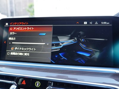 2023 BMW X5 thumbnail 31