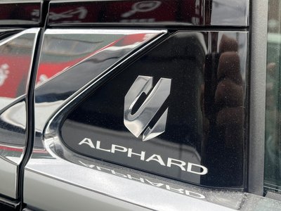 2024 Toyota ALPHARD 照片 14