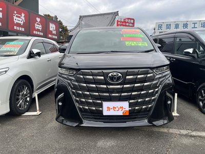 2024 Toyota ALPHARD 照片 2