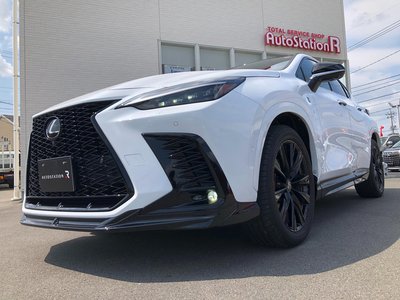 2023 Lexus NX — миниатюра 61