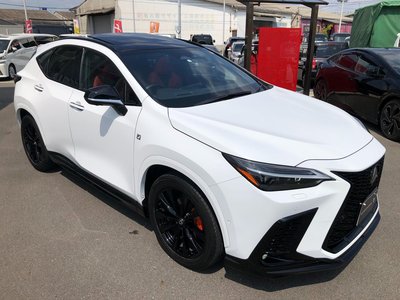 2023 Lexus NX — миниатюра 62