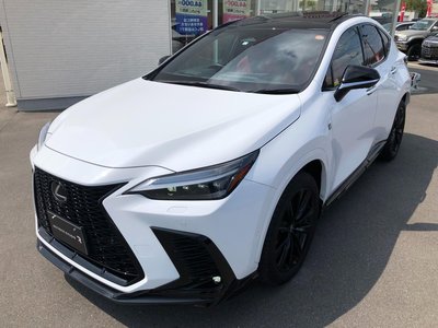 2023 Lexus NX — миниатюра 60