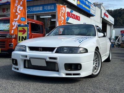 1996 Nissan SKYLINE GT-R 照片 1