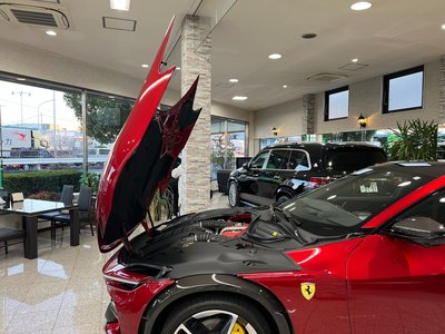 2024 Ferrari PUROSANGUE photo 14