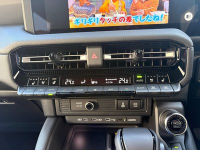 2025 Toyota LAND CRUISER 250 照片 15