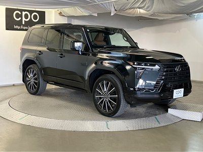 2025 Lexus GX 缩略图 13