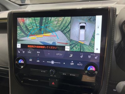 2025 Toyota ALPHARD 照片 42