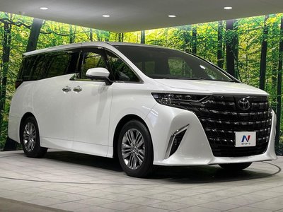 2025 Toyota ALPHARD 照片 18