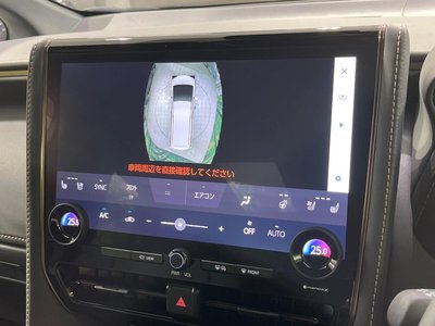 2025 Toyota ALPHARD 照片 46