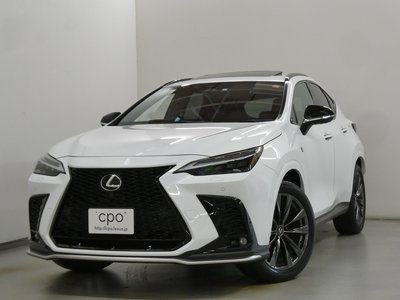 2023 Lexus NX 缩略图 4