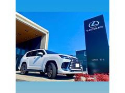 2023 Lexus NX 缩略图 47