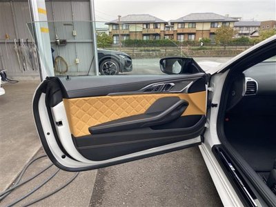 2020 BMW M8 thumbnail 39