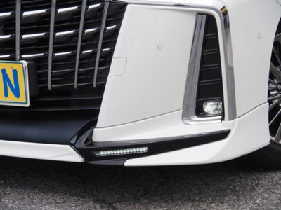 2020 Toyota ALPHARD 照片 15