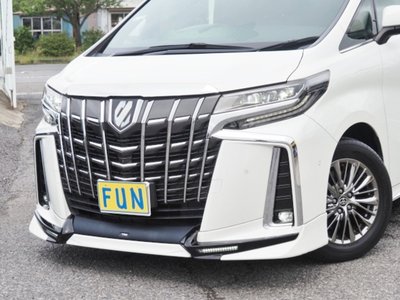 2020 Toyota ALPHARD 照片 14