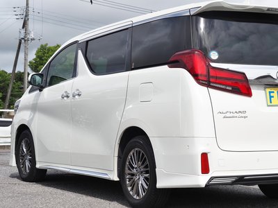 2020 Toyota ALPHARD 照片 11
