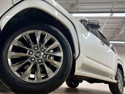 2024 Toyota LAND CRUISER 300 photo 14